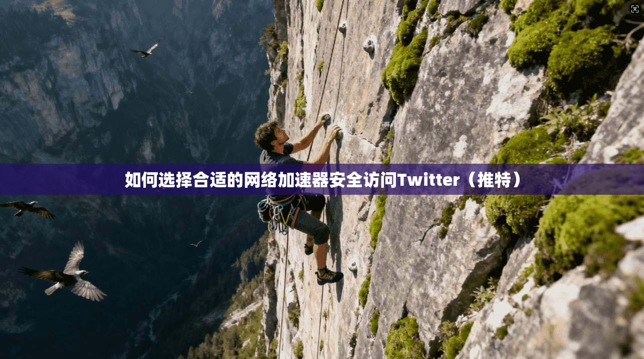 如何选择合适的网络加速器安全访问Twitter(推特)