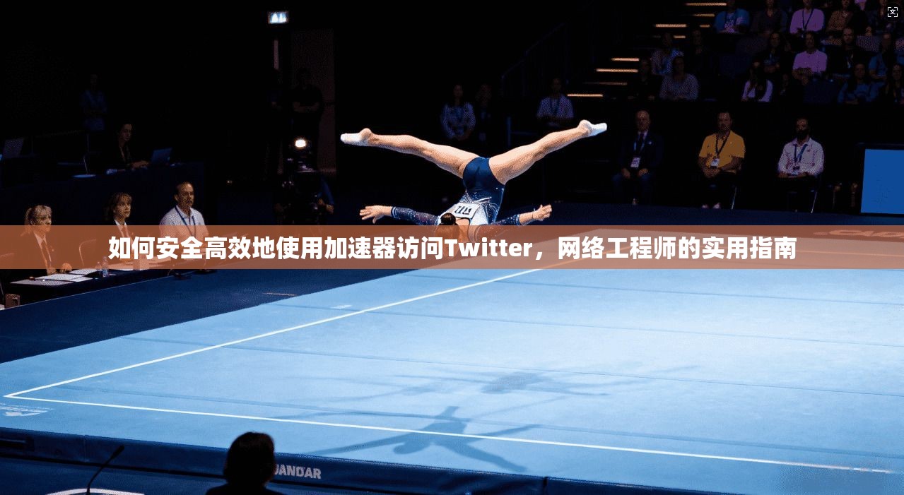 如何安全高效地使用加速器访问Twitter，网络工程师的实用指南