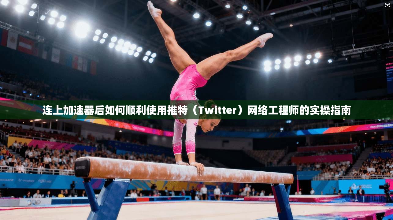 连上加速器后如何顺利使用推特（Twitter）网络工程师的实操指南