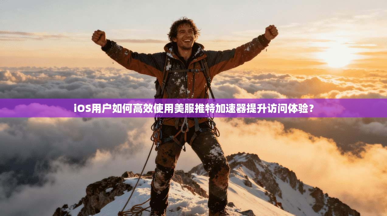 iOS用户如何高效使用美服推特加速器提升访问体验？
