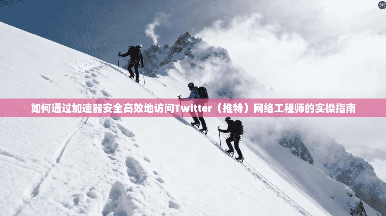 如何通过加速器安全高效地访问Twitter（推特）网络工程师的实操指南