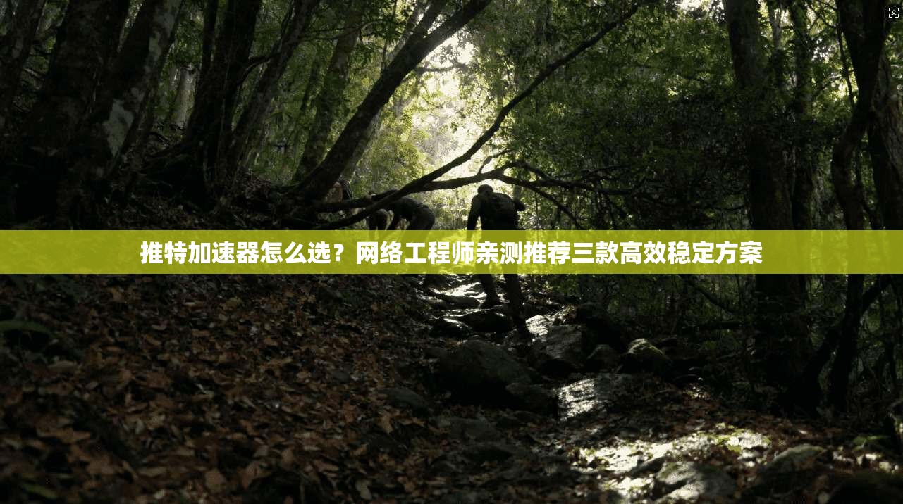 推特加速器怎么选?网络工程师亲测推荐三款高效稳定方案