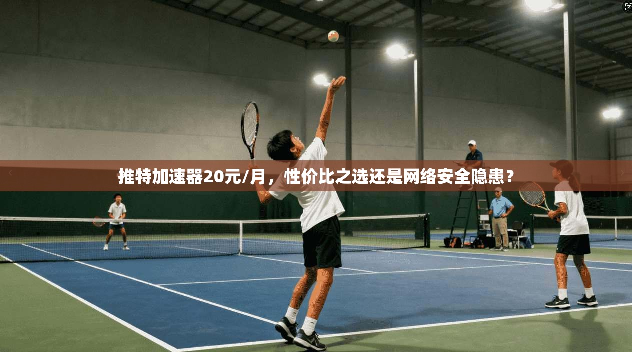 推特加速器20元/月，性价比之选还是网络安全隐患？