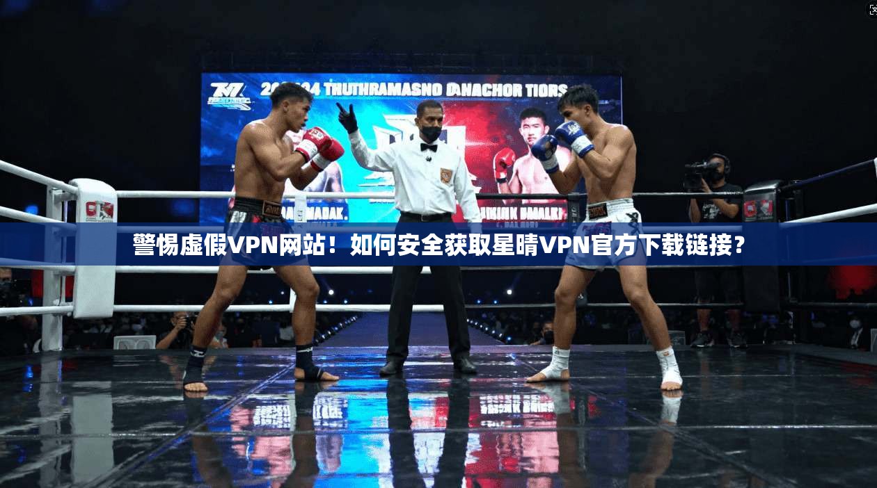 警惕虚假VPN网站!如何安全获取星晴VPN官方下载链接?