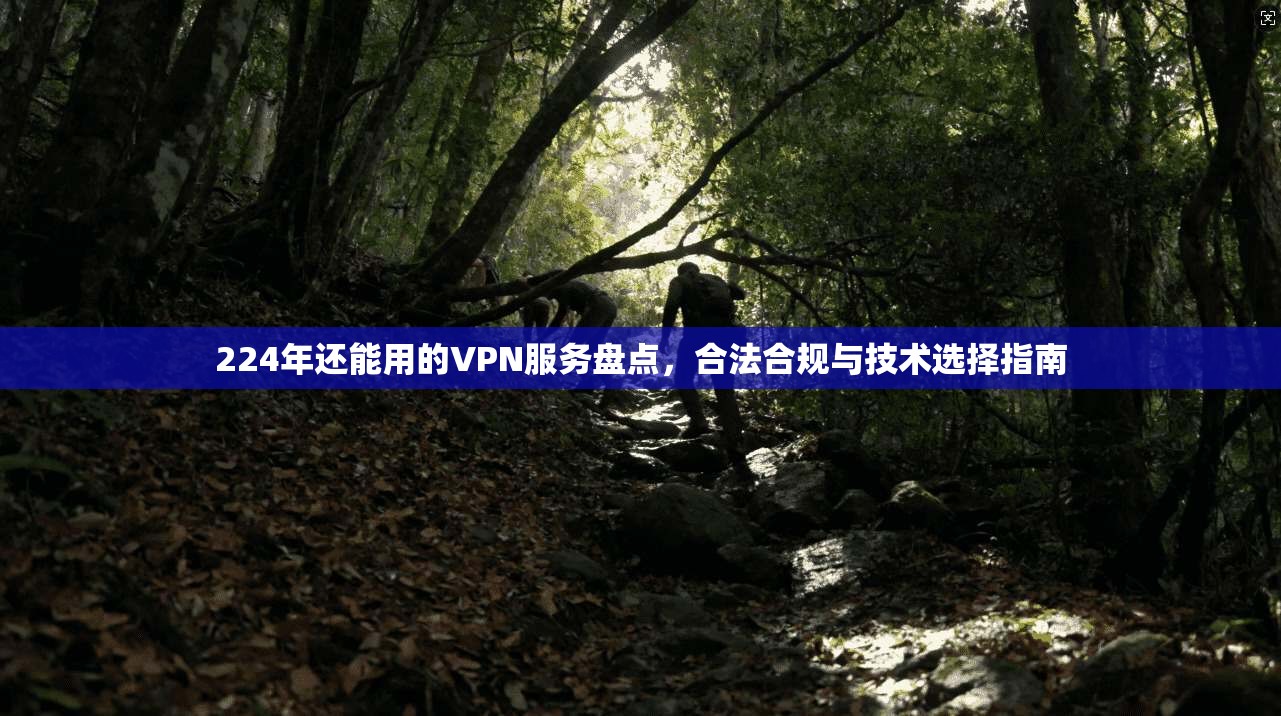 224年还能用的VPN服务盘点,合法合规与技术选择指南