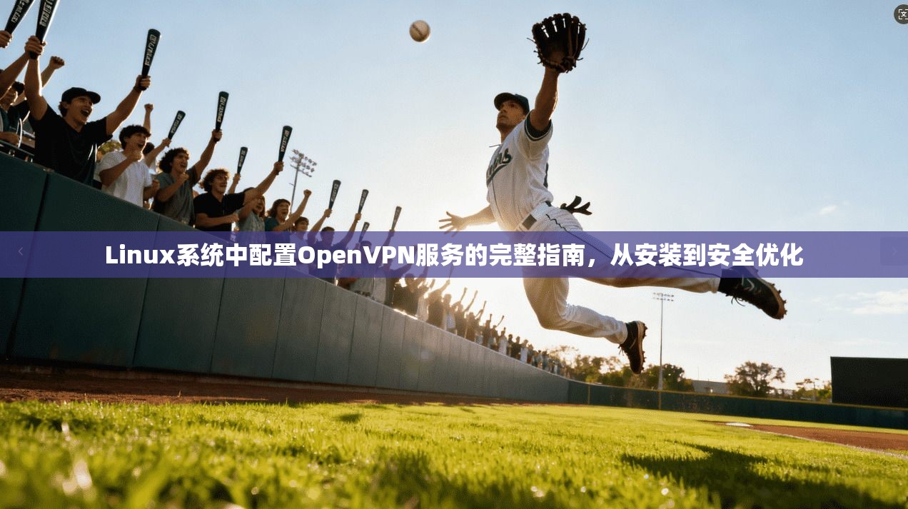 Linux系统中配置OpenVPN服务的完整指南，从安装到安全优化