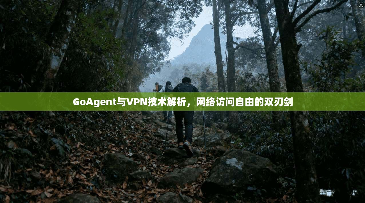 GoAgent与VPN技术解析，网络访问自由的双刃剑