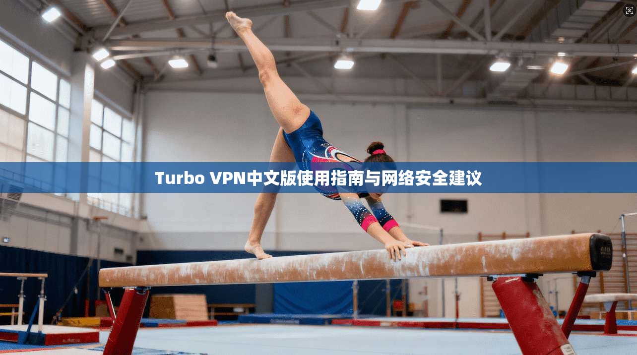 Turbo VPN中文版使用指南与网络安全建议