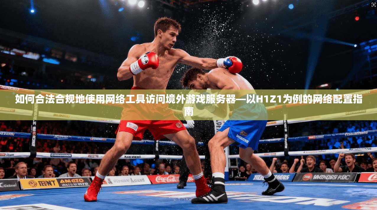 如何合法合规地使用网络工具访问境外游戏服务器—以H1Z1为例的网络配置指南