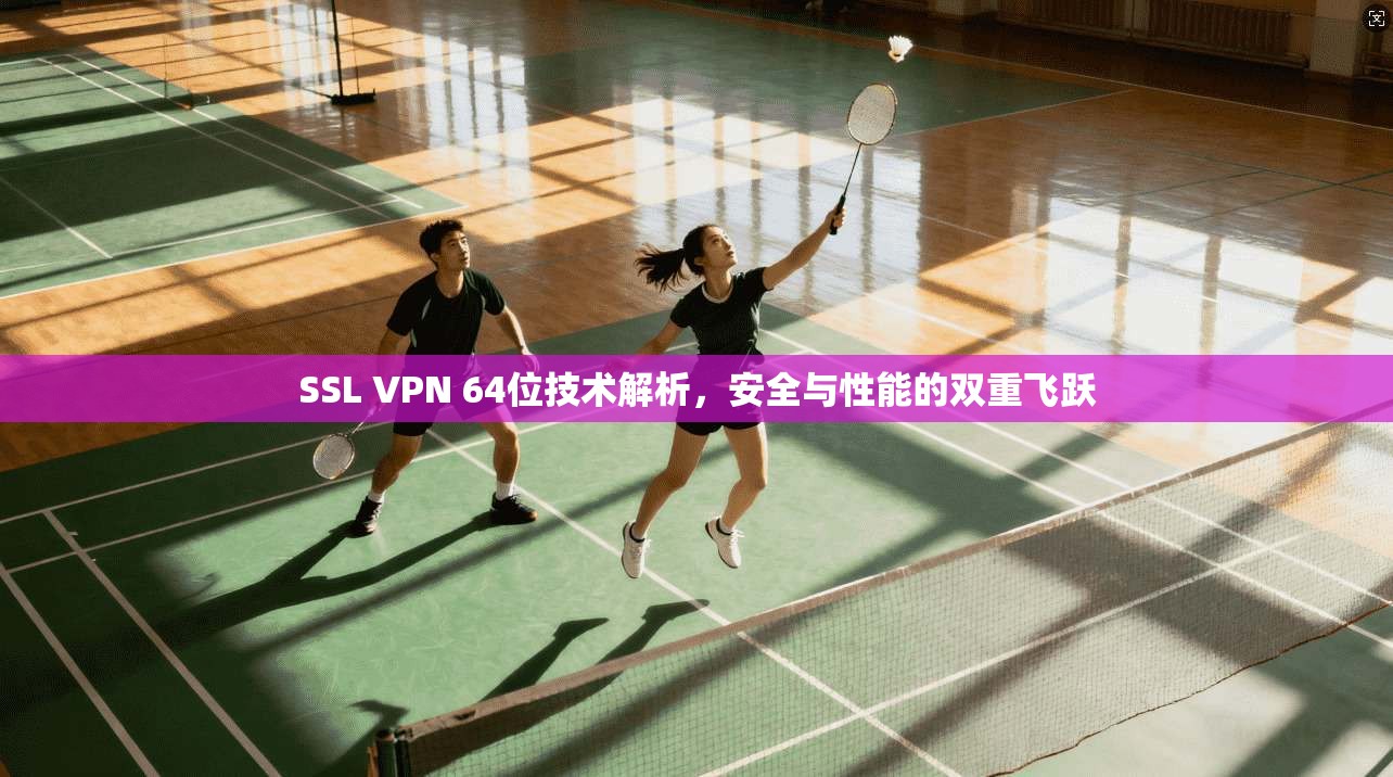 SSL VPN 64位技术解析,安全与性能的双重飞跃