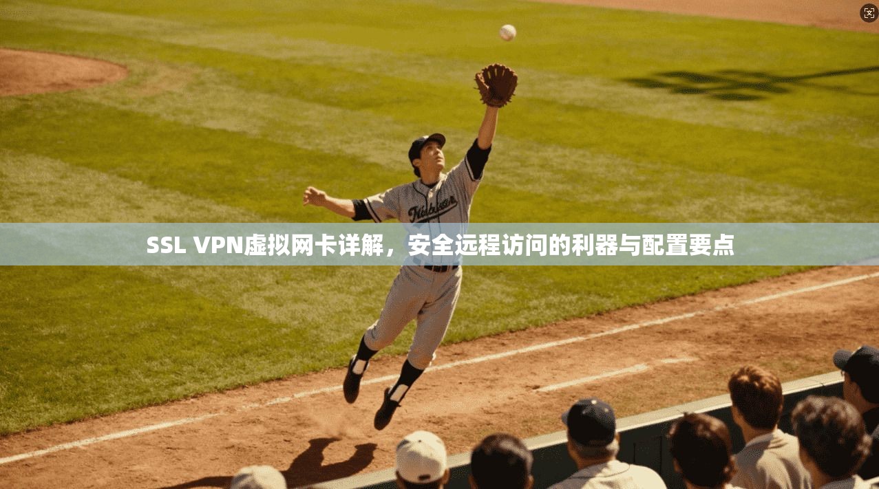 SSL VPN虚拟网卡详解,安全远程访问的利器与配置要点