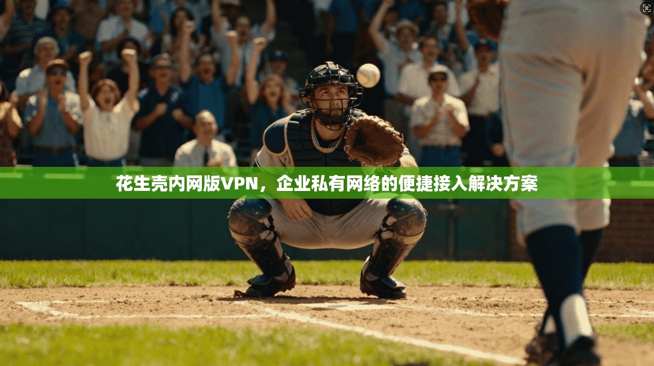 花生壳内网版VPN,企业私有网络的便捷接入解决方案