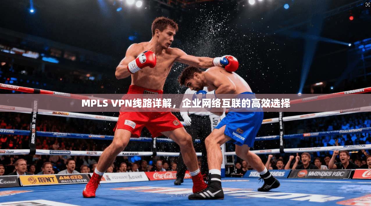 MPLS VPN线路详解，企业网络互联的高效选择