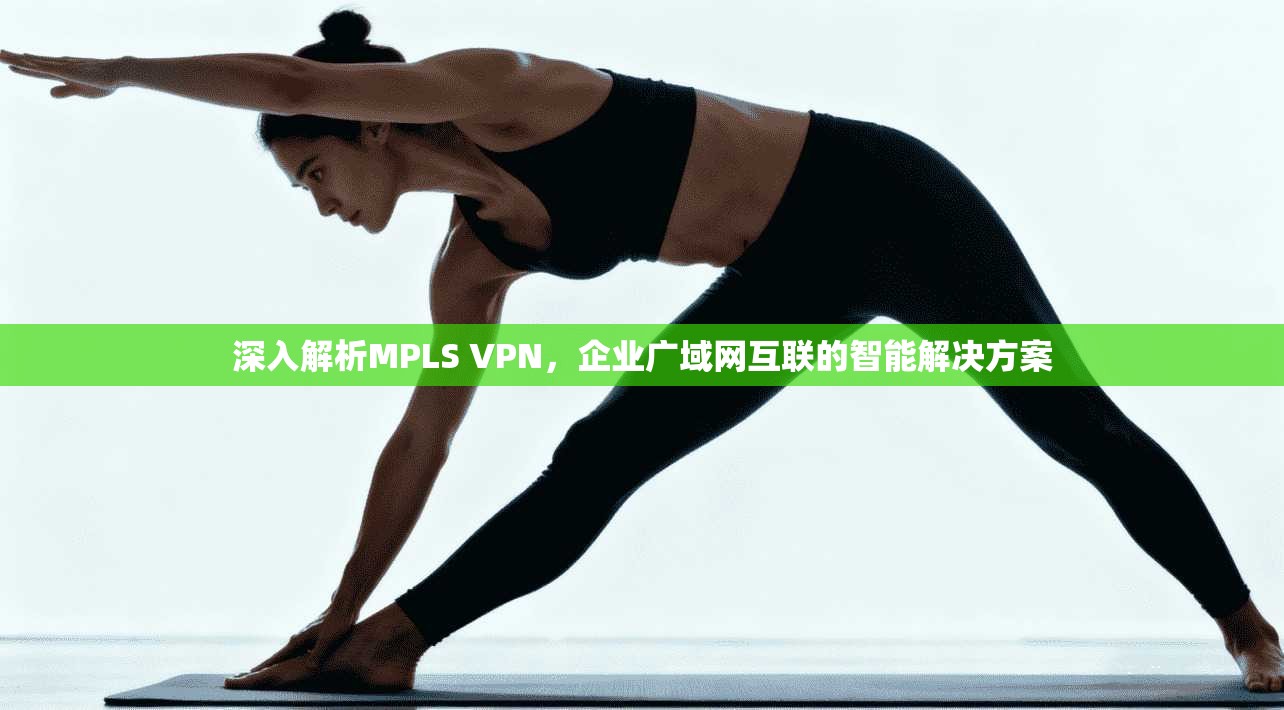 深入解析MPLS VPN，企业广域网互联的智能解决方案