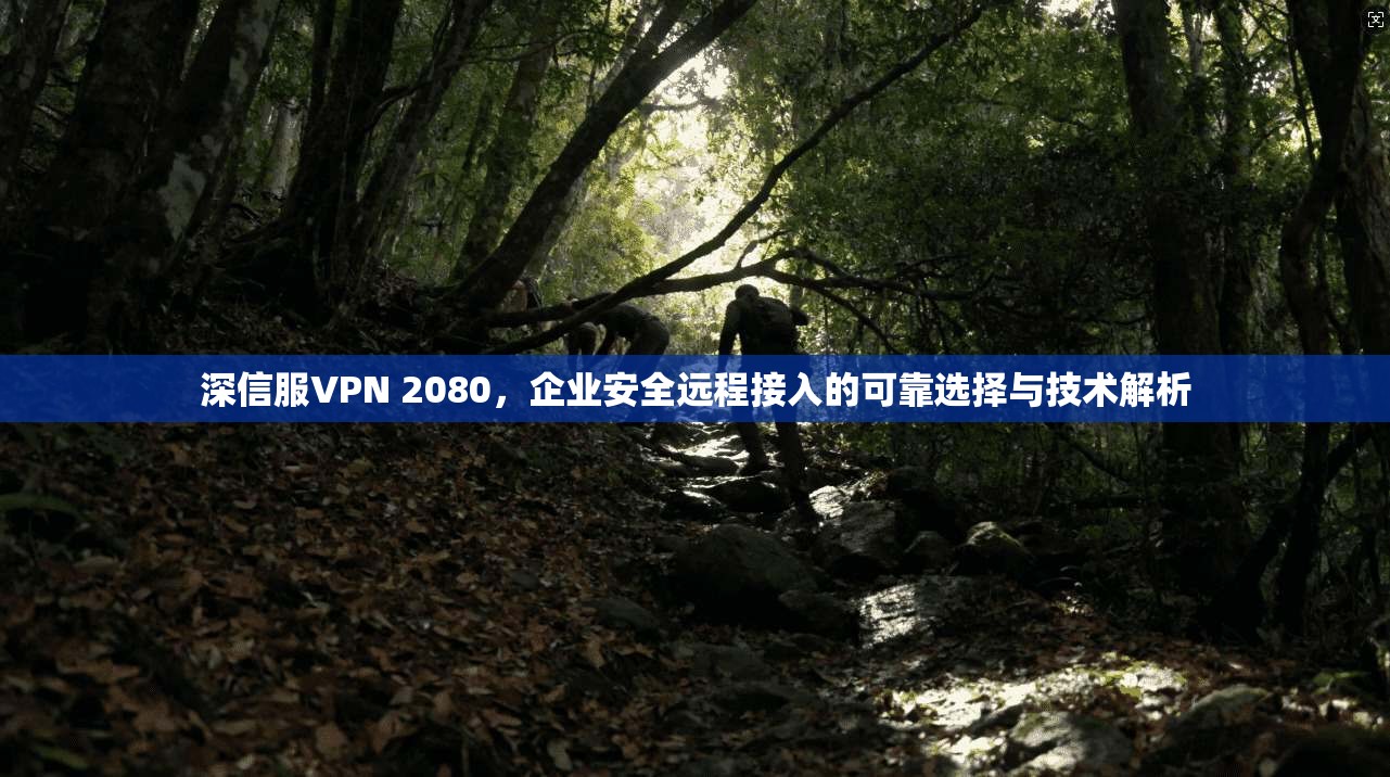 深信服VPN 2080，企业安全远程接入的可靠选择与技术解析